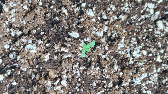 20230607_030630.jpg 20230607_030630.jpg