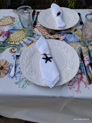 IMG_20230609_182233789.jpg IMG_20230609_182233789.jpg