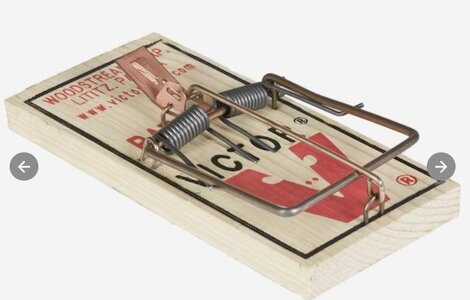 2023-06-13_10-39-24.jpg 2023-06-13_10-39-24.jpg