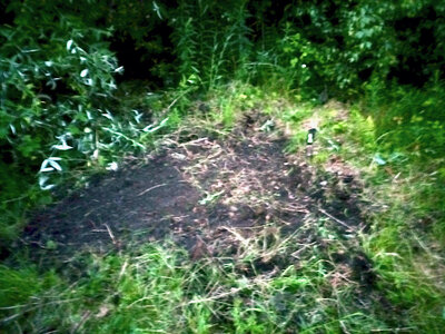 large.IMG_20230619_222540_161.jpeg.a1fd231ec22e4a265d9e95b9a5544e44.jpeg large.IMG_20230619_222540_161.jpeg.a1fd231ec22e4a265d9e95b9a5544e44.jpeg