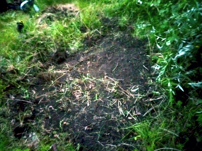 large.IMG_20230619_222556_702.jpeg.cc670a1f61682fdf93adb4d15479daef.jpeg large.IMG_20230619_222556_702.jpeg.cc670a1f61682fdf93adb4d15479daef.jpeg