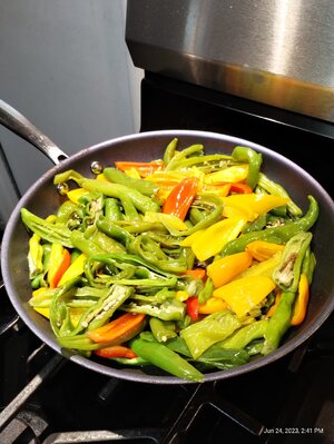 IMG_20230624_144156479.jpg IMG_20230624_144156479.jpg