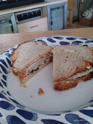 IMG_20230624_171153314.jpg IMG_20230624_171153314.jpg