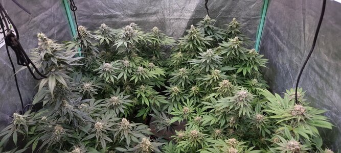 20230706_234257.jpg 20230706_234257.jpg