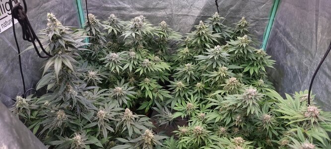 20230706_234249.jpg 20230706_234249.jpg