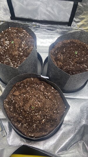 WhatsApp Image 2023-07-10 at 14.40.10.jpeg