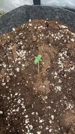 WhatsApp Image 2023-07-10 at 14.40.16.jpeg