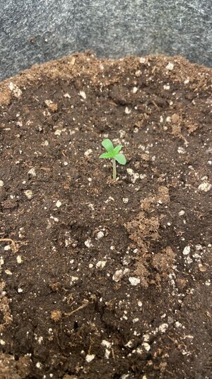 WhatsApp Image 2023-07-10 at 14.40.22.jpeg