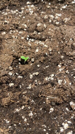 WhatsApp Image 2023-07-10 at 14.40.29.jpeg