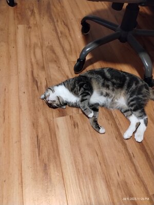 IMG_20230709_232621818.jpg IMG_20230709_232621818.jpg