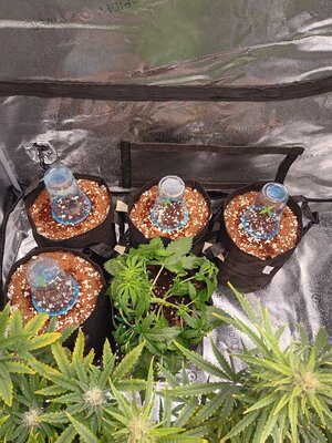 20230502_151954.jpg 20230502_151954.jpg