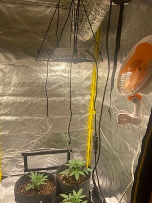 WhatsApp Image 2023-07-25 at 09.58.26.jpeg