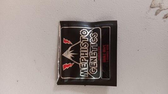 20230806_120736.jpg 20230806_120736.jpg