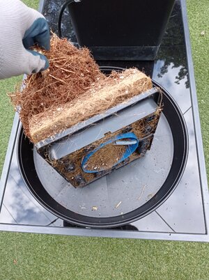 Grow 4 Day 82w.jpg Grow 4 Day 82w.jpg