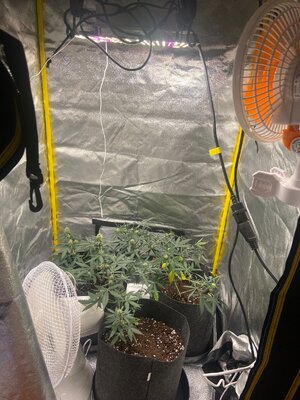 girls.jpeg girls.jpeg