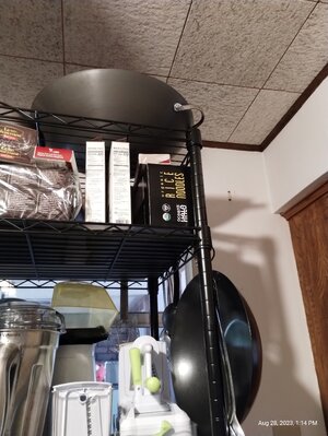 IMG_20230828_131413275.jpg IMG_20230828_131413275.jpg