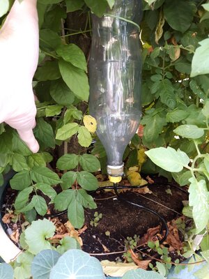 IMG_20230901_121200.jpg IMG_20230901_121200.jpg