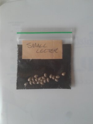 20230920_120342.jpg 20230920_120342.jpg