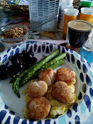 IMG_20230925_095703940.jpg IMG_20230925_095703940.jpg