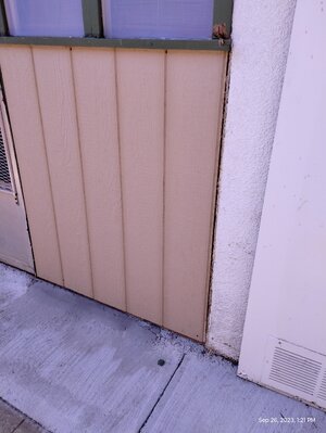 IMG_20230926_132108493.jpg IMG_20230926_132108493.jpg