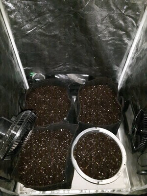 dirty stuff2.jpg dirty stuff2.jpg