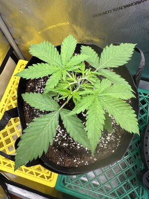 IMG_1880.jpeg IMG_1880.jpeg