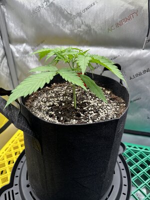 IMG_1881.jpeg IMG_1881.jpeg