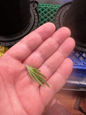 IMG_1882.jpeg IMG_1882.jpeg