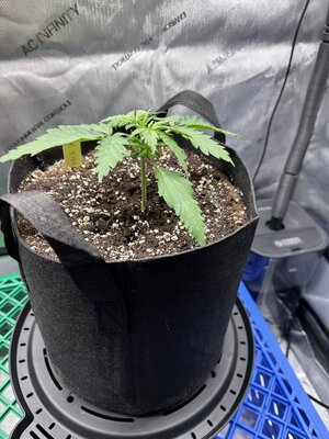 IMG_1884.jpeg IMG_1884.jpeg