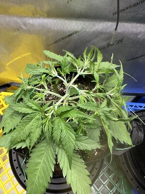 IMG_1889.jpeg IMG_1889.jpeg