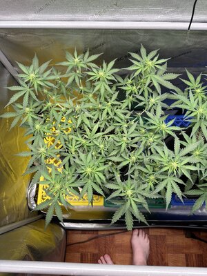 IMG_1944.jpeg IMG_1944.jpeg