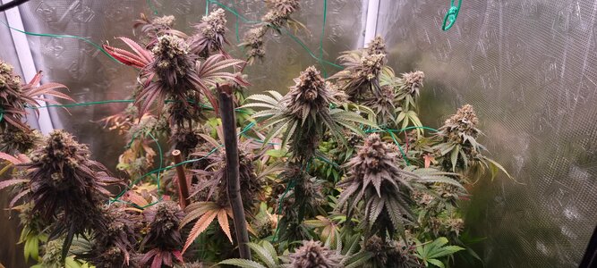 20231104_212208.jpg 20231104_212208.jpg