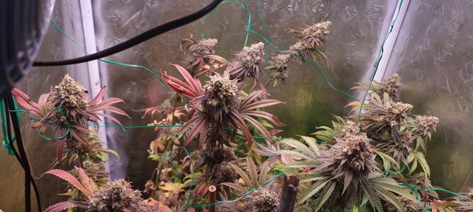 20231104_212205.jpg 20231104_212205.jpg