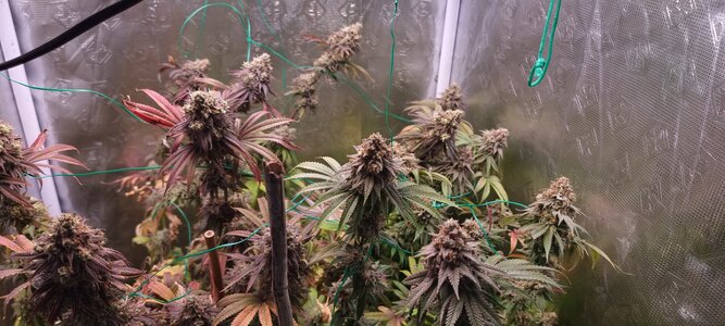 20231104_212210.jpg 20231104_212210.jpg