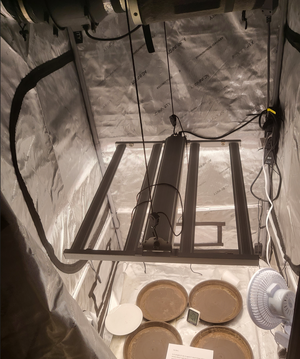 Gorilla Glue Auto - HP Pro Mix 3x3