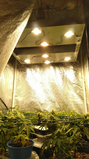 IMG_20231115_095005.jpg IMG_20231115_095005.jpg