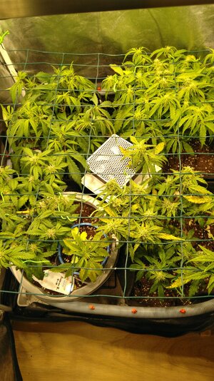 IMG_20231115_095038.jpg IMG_20231115_095038.jpg