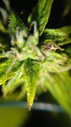 IMG_20231118_095027.jpg IMG_20231118_095027.jpg