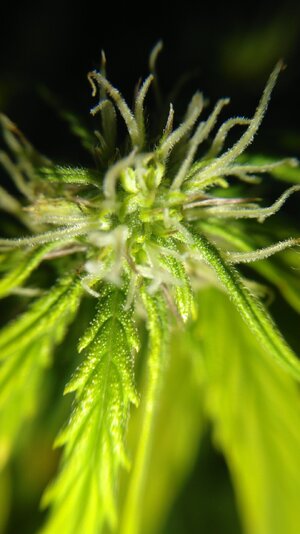 IMG_20231118_095055.jpg IMG_20231118_095055.jpg