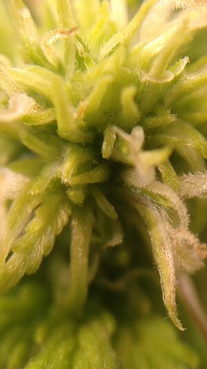 IMG_20231123_093236.jpg IMG_20231123_093236.jpg