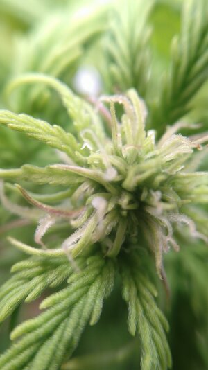 IMG_20231123_093411.jpg IMG_20231123_093411.jpg