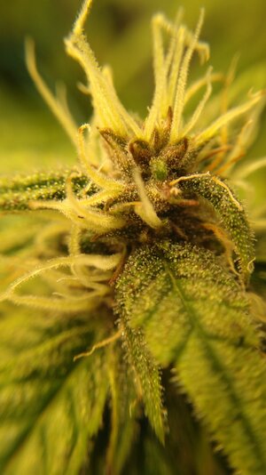 IMG_20231123_093131.jpg IMG_20231123_093131.jpg