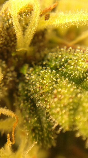 IMG_20231123_093156.jpg IMG_20231123_093156.jpg