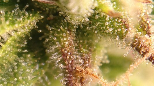 IMG_20231123_093223.jpg IMG_20231123_093223.jpg