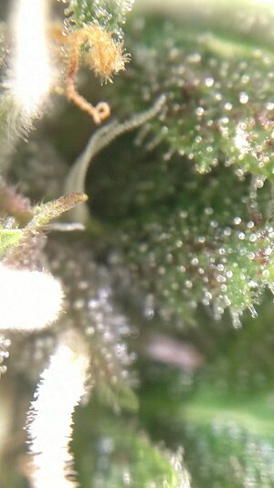 IMG_20231123_093319.jpg IMG_20231123_093319.jpg