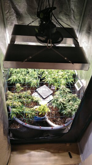 IMG_20231125_065927.jpg IMG_20231125_065927.jpg