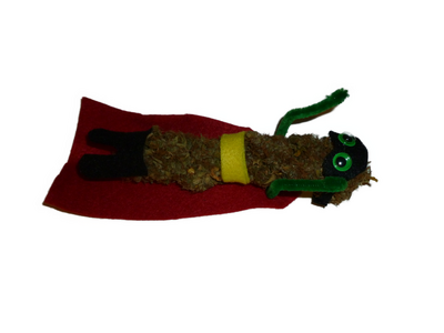 P1010007_inPixiosmall.png P1010007_inPixiosmall.png