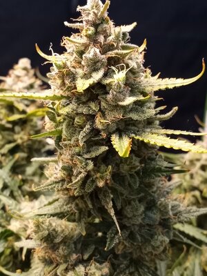 20230929_160435.jpg 20230929_160435.jpg