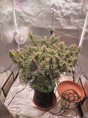 20231009_124042.jpg 20231009_124042.jpg