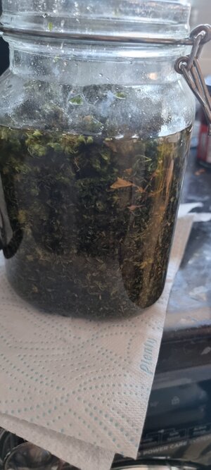 20240115_110543.jpg 20240115_110543.jpg